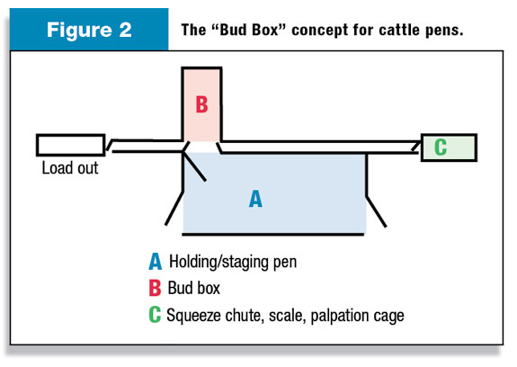 Figure 2: The Bud Box concept for cattle pens