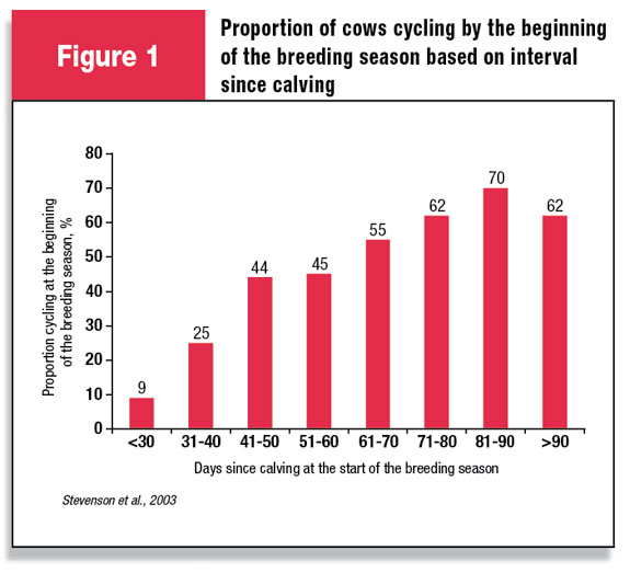 Proportion of cows cycling by the beginning of the breeding season based on interval since calving
