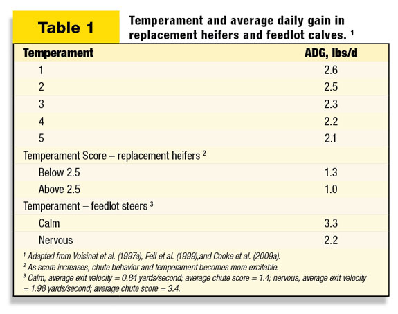 Table 1: Temperament and Average Daily Gain in replacement heifers and feedlot calves
