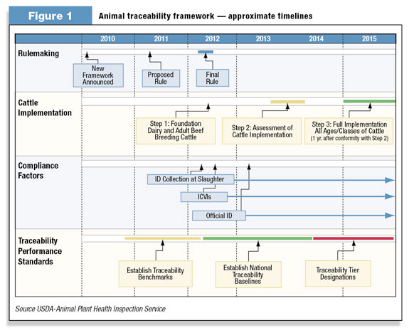Figure 1: Animal traceability framework timeline