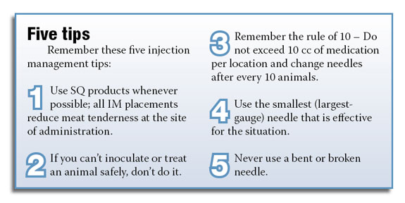 Figure 1: 0Five tips for vaccinations