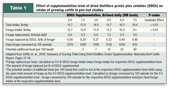 effect of supplementation levels of DDGS on intake of growing cattle 