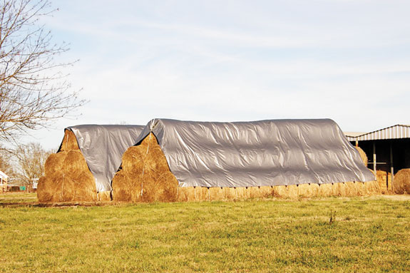 Stacked round bales under a tarp.