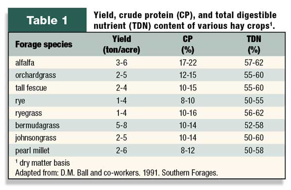 Yield, CP, and TDN contenet in hay crops