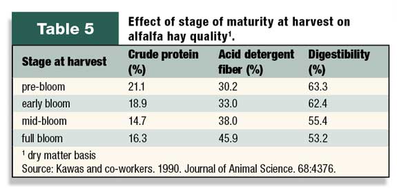 Effect of maturity at harvest on alfalfa hay quality