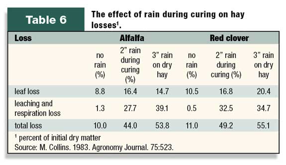 Effect of rain during curing on hay losses