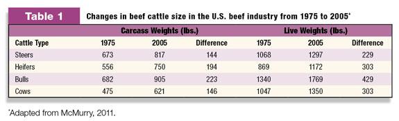 Table 1: Changes in beef cattle in the U.S. beef industry from 1975 to 2005