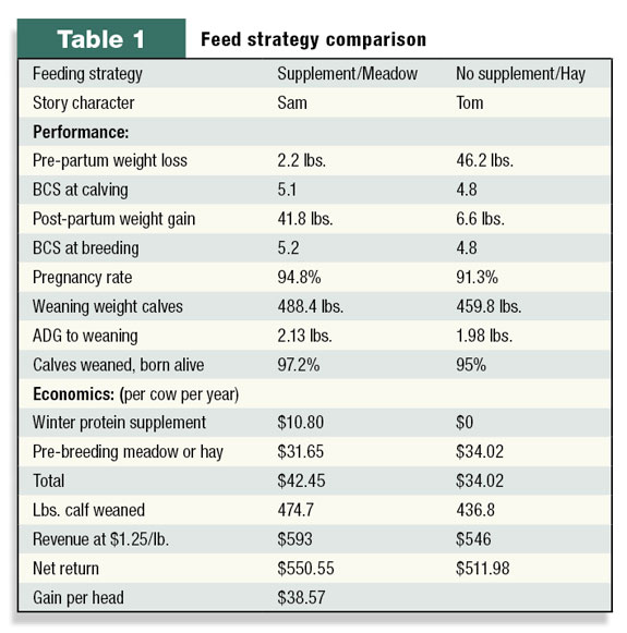 Table 1: Feed strategy comparison