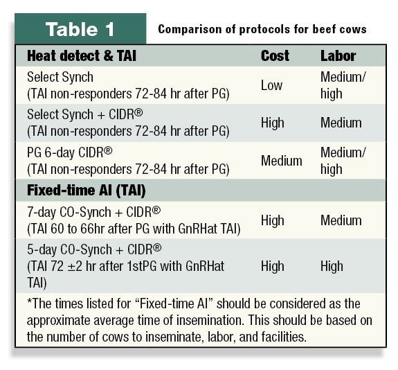 Table 1: Comparison of protocols for beef cows.