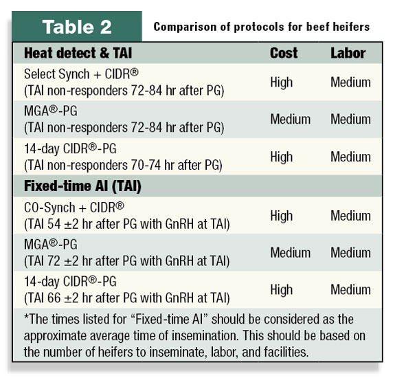 Table 2: Comparison of protocols for beef heifers