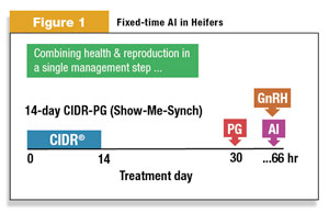 Figure 1: the CIDR protocol. 