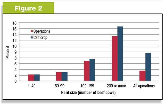 Figure 2: Number of herds participating in forward pricing of calves