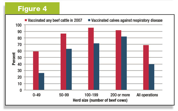 Figure 4: Number of cattle producers that vaccinate