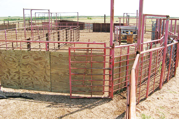 Pens for working cattle