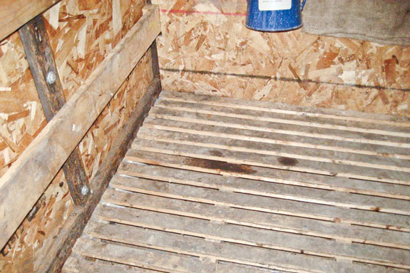 Slatted floor in a calf box allows warm air to rise.