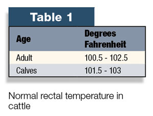 Table 1: Normal rectal temperature in cattle