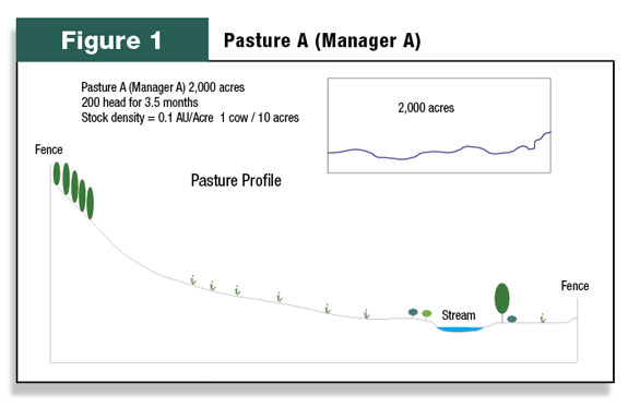 Pasture A (Manager A) profile