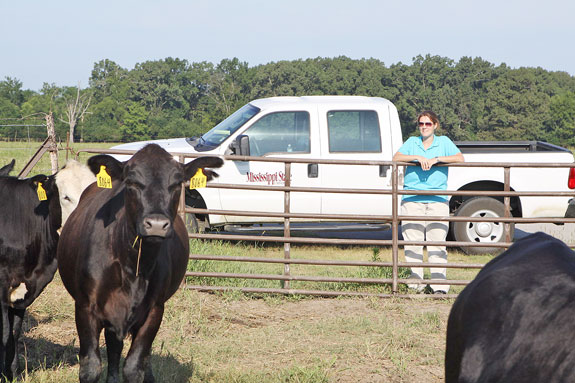 Holly Boland observing cattle