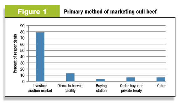 Figure 1: How cull cows are marketed