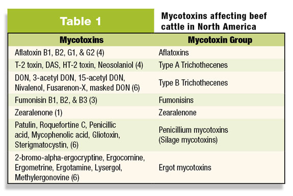 Table 1: mycotoxins affecting cattle and beef in North America. 