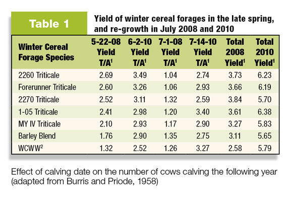 Table 1: Yeild of winter cereal forages in the late spring, and re-growth in July 2008 and 2010