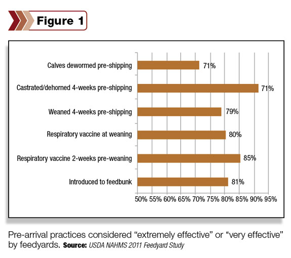 Figure 1: the percentage of feedyards that consider practices to be extremely effective or very effective