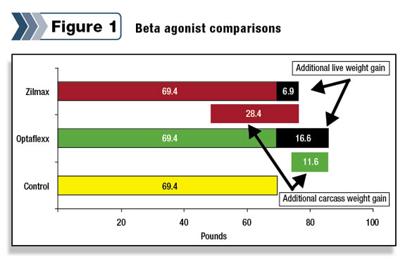 Figure 1: Beta agonist comparisons
