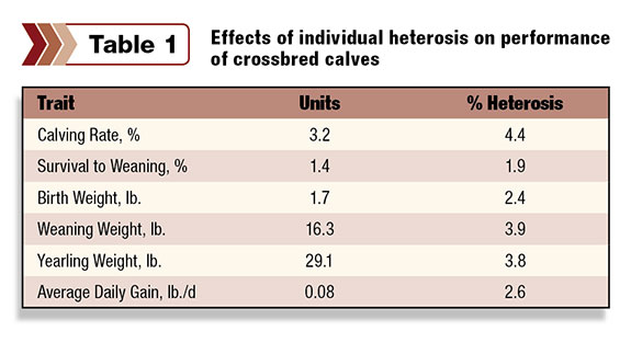 Table 1: Effects of cindividual heterosis on performance of crossbred calves