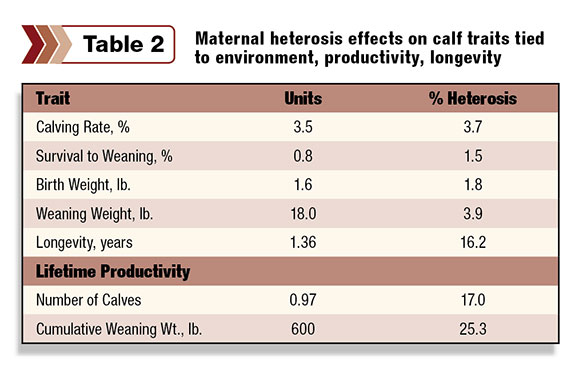 Table 2: Maternal heterosis effects on calf traits tied to environment, productivity, longevity
