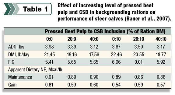 Table 1: Effect of increasing level of pressed beet pulp and Concentrated Separator Byproduct in backgrounding rations on performance of steer calves