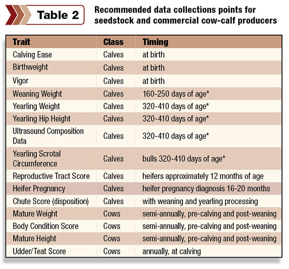 Table 2: Recommeded data collection times for seedstock and commercial cow-calf producers