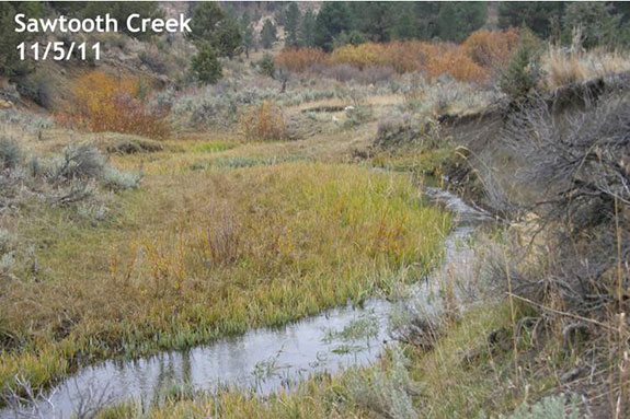 Photo monitoring of Sawtooth Creek 2011