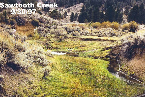 Photo monitoring of Sawtooth Creek 1997