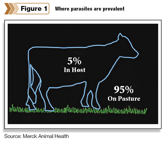 Figure 1: Location of parasites