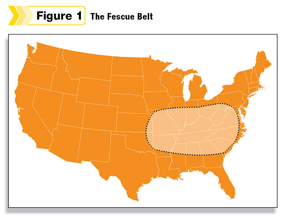 The Fescue Belt