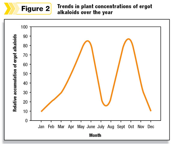 Trends in plant concentration of ergot alkaloids over the year