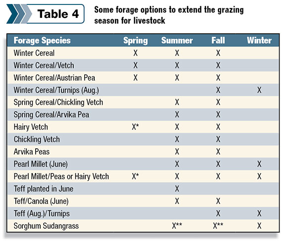 Some forage options to extend the grazing season for livestock