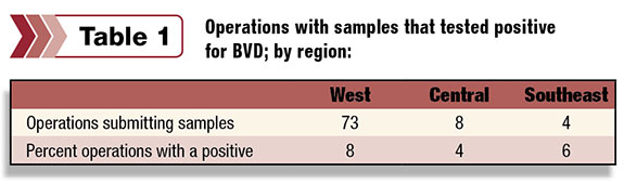 Table 1: operations that tested positive for Bovine Viral Ciarrhea, by region