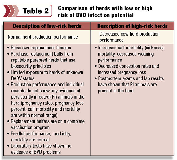 table 2: comparison of herds with low or high risk of Bovine Viral Diarrhea infection potential