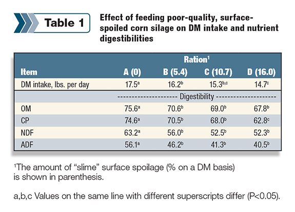 Table 1: Effect of feeding poor-quality, surface-spoiled corn silage on DM intake and nutrient digestibilities