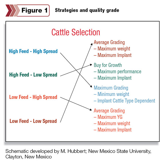 Figure 1: Strategies for buying cattle
