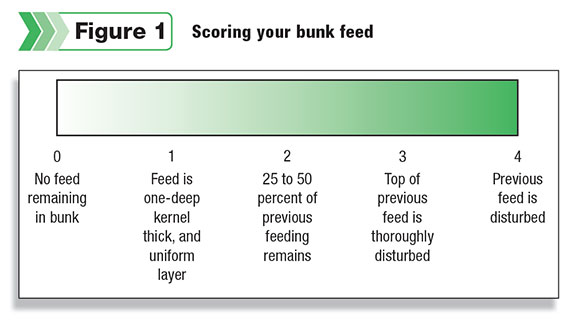 Figure 1: Scoring your bunk feed