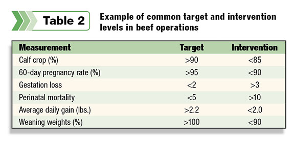 Table 2: Examples of common target and intervention levels in beef operations