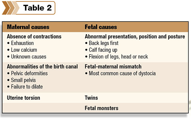 table maternal causes
