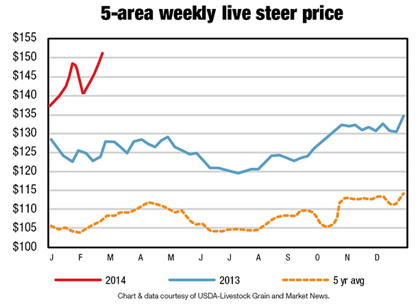 5-area weekly live steer price