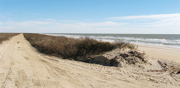 The beach road