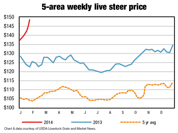5-area weekly ive steer price