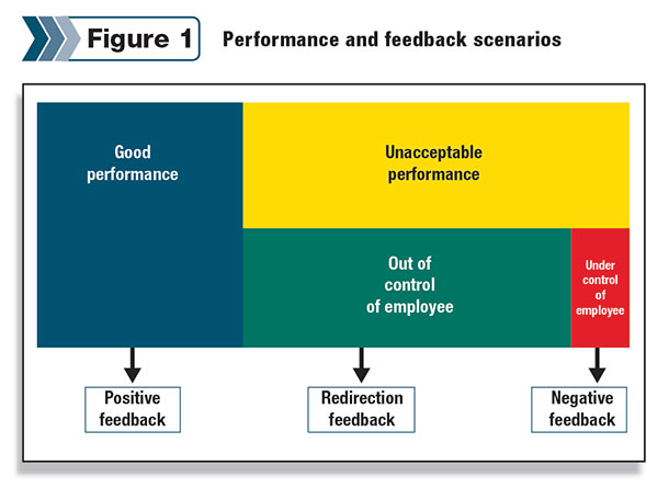 Performance and feedback scenarios