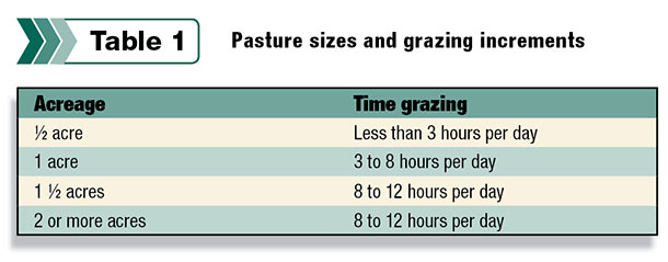Feature sizes and grazing increments