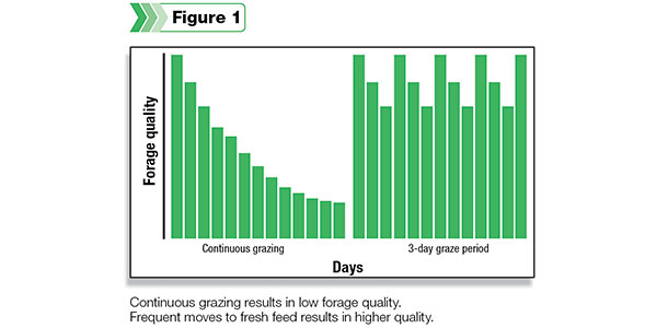 Continuous grazing results